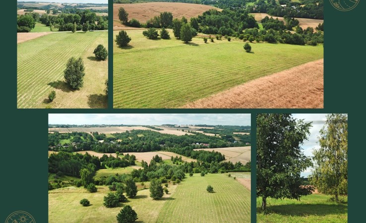 działka na sprzedaż - Iwanowice, Biskupice