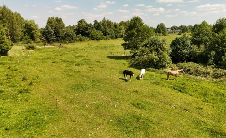 działka na sprzedaż - Skawina (gw), Jaśkowice